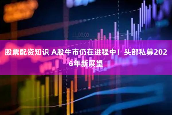 股票配资知识 A股牛市仍在进程中！头部私募2026年新展望