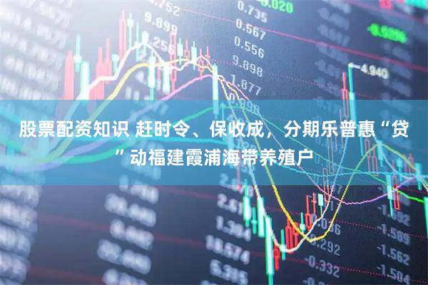 股票配资知识 赶时令、保收成，分期乐普惠“贷”动福建霞浦海带养殖户