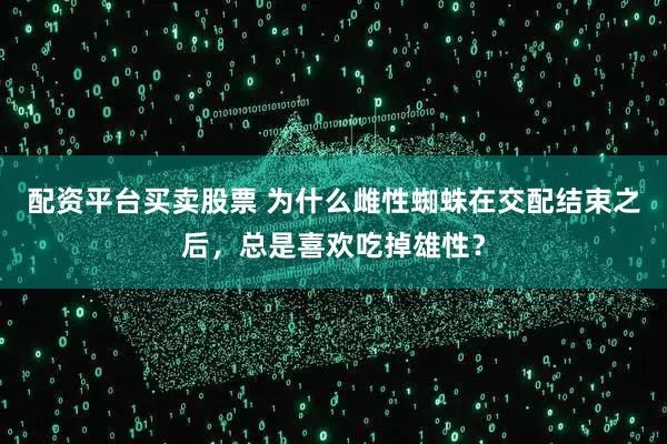 配资平台买卖股票 为什么雌性蜘蛛在交配结束之后，总是喜欢吃掉雄性？