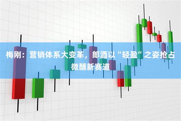 梅刚：营销体系大变革，郎酒以“轻盈”之姿抢占微醺新赛道