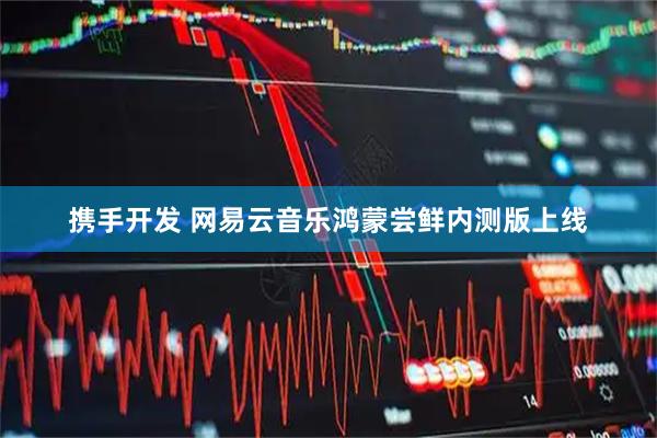 携手开发 网易云音乐鸿蒙尝鲜内测版上线
