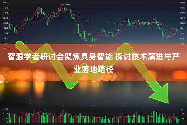 智源学者研讨会聚焦具身智能 探讨技术演进与产业落地路径